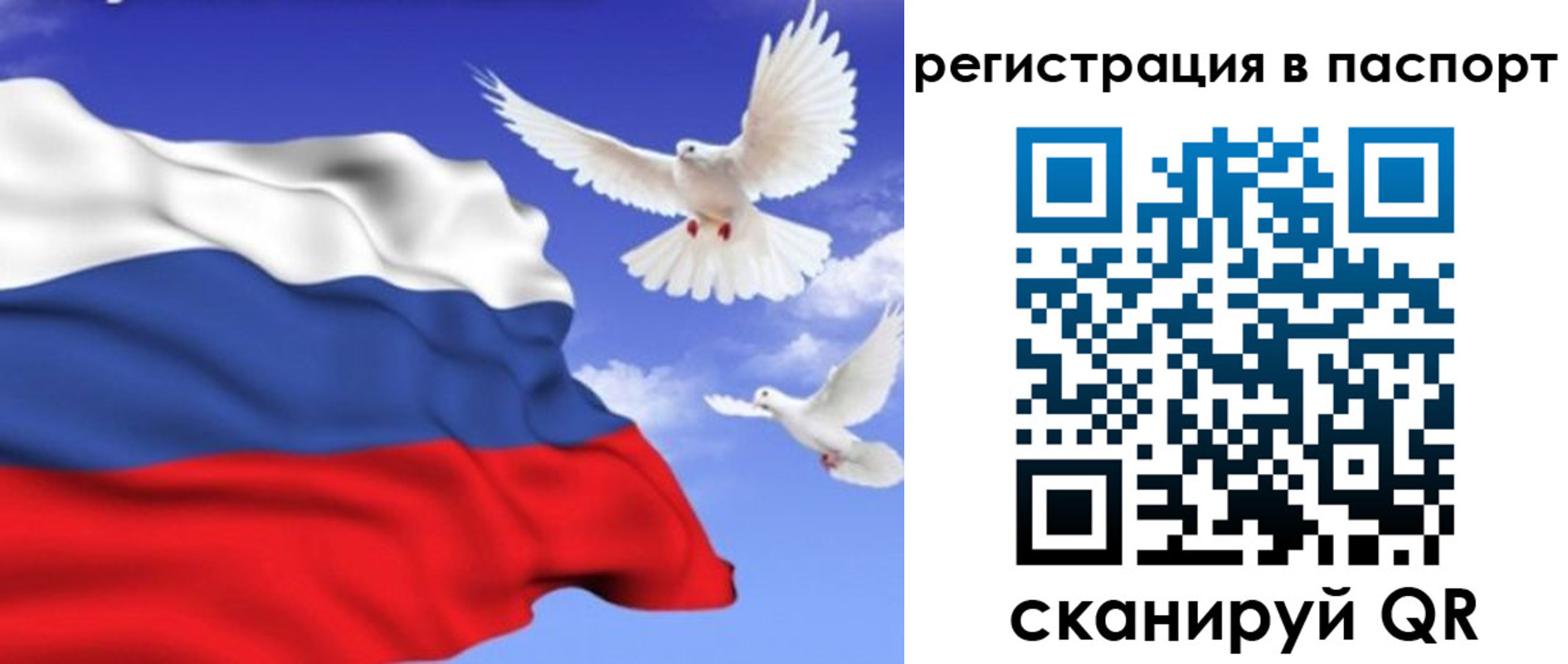 купить прописку в Сергиевом Посаде